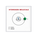 Hydrogen Molecule Model